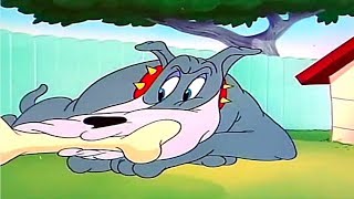 Tom And Jerry English Episodes  The Framed Cat   Cartoons For Kids Tv