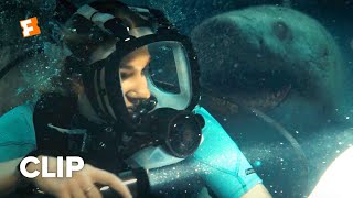 47 Meters Down Uncaged Exclusive Movie Clip  Over Here 2019  Movieclips Indie