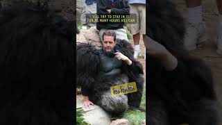 Hollywoods monkey business from Tom Woodruff Jr a professional gorilla actor hollywood shorts