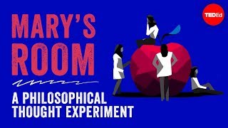 Marys Room A philosophical thought experiment  Eleanor Nelsen