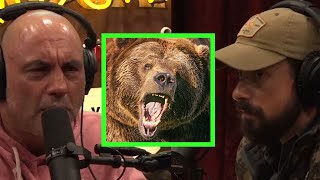 Ben OBriens Grizzly Bear Encounter