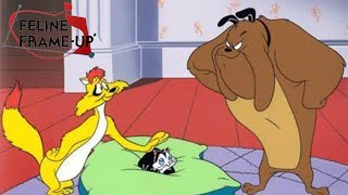 Feline FrameUp 1954 Looney Tunes Marc Anthony Claude Cat and Pussyfoot Cartoon Short Film