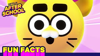  MindBlowing Battle Kitty Facts YOU Should Know   Battle Kitty