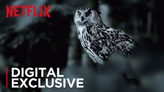 The Staircase  The Owl Theory  Netflix