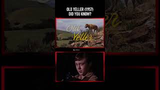 Did you know THIS about the death of Old Yeller in OLD YELLER 1957