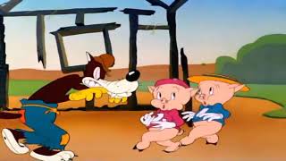 Pigs in a Polka 1943  LOONEY TUNES  PappaLily Kids Cartoon