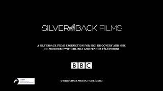 Silverback FilmsBBCDiscoveryNHKBilibiliFrance TlvisionsBBC Studios 2021
