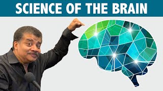 StarTalk Podcast Science of the Brain with Neil deGrasse Tyson