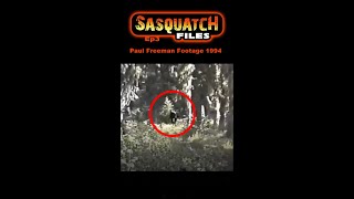 Sasquatch Files Ep 3 Paul Freeman Footage 1994 shorts bigfoot