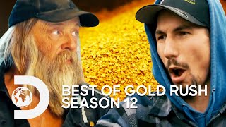 The Very BEST Moments From Season 12  Gold Rush
