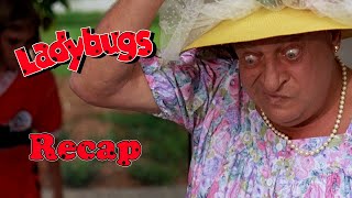 Ladybugs Full Movie Recap