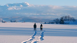 Rei  trailer  IFFR 2024