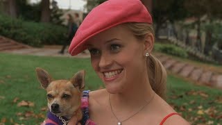 Legally Blonde 3 Everything We Know About Elle Woods Return