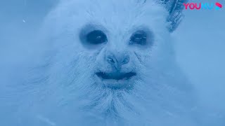 The Great Snow Monster was worshipped as a god  Snow Monster  YOUKU MONSTER MOVIE
