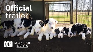 Muster Dogs Season 2 Official Trailer  ABC Australia