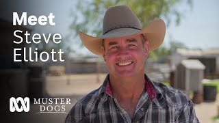Steve Elliott  Awardwinning trainer has a special bond with animals  Muster Dogs  ABC Australia