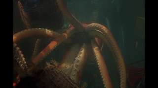 Reap the Wild Wind  Giant Squid