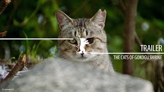 The Cats of Gokogu Shrine Gokogu no Neko  Trailer  Berlinale 2024