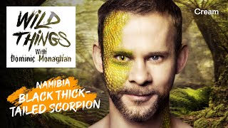 Black ThickTailed Scorpion  Wild Things with Dominic Monaghan Season 1 Episode 4  FULL EPISODE