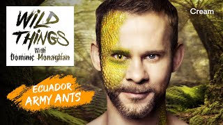 Army Ants  Wild Things with Dominic Monaghan Season 1 Episode 1  FULL EPISODE