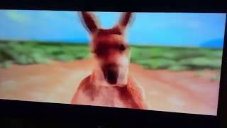 Opening to Kangaroo Jack 2003 DVD Australia