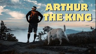 Arthur the King 2024 Full Movie Review  Mark Wahlberg And Nathalie Emmanuel