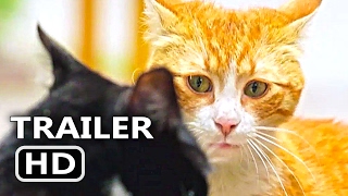 KEDI Official Trailer  Clip 2017 Cats Documentary Movie HD