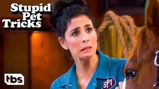Sarah Silverman Wasnt Ready for This Kind of Horsing Around Clip  Stupid Pet Tricks  TBS