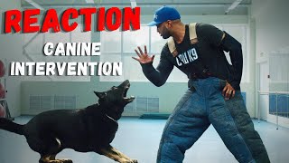 Reaction To Canine Intervention A Netflix Show