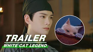 White Cat Legend TrailerThe story of Cat Detective    iQIYI