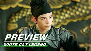 EP7 Preview  White Cat Legend    iQIYI