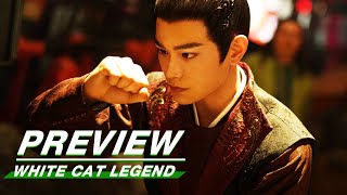 EP8 Preview  White Cat Legend    iQIYI