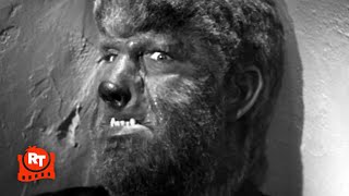 House of Dracula 1945  A Cure for the Wolf Man Scene  Movieclips