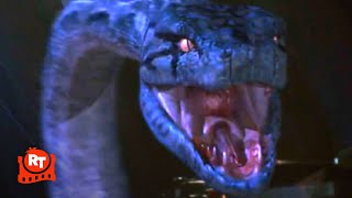 Boa vs Python 2004  Flamethrower vs Giant Snake  Movieclips