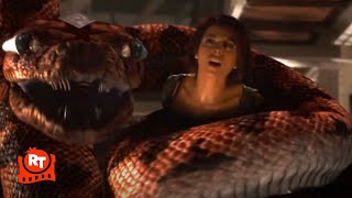 Boa vs Python 2004  Squeezed to Death  Movieclips