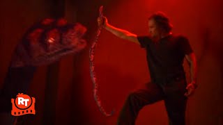 Boa vs Python 2004  Hes Got a Huge Snake  Movieclips
