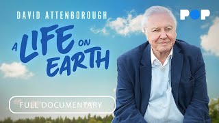 David Attenborough A Life on Earth  Full Documentary