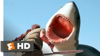 6Headed Shark Attack 2018  Man vs Shark Scene 610  Movieclips