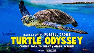 TURTLE ODYSSEY 2018 OFFICIAL TRAILER   The Trailer Land