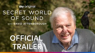 Secret World of Sound with David Attenborough  Official Trailer  Sky Nature