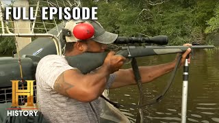 Swamp People HorseEating Gator on the Loose S12 E9  Full Episode