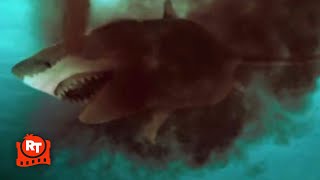 Shark Season 2020  Killing the Shark Scene  Movieclips