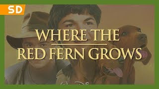 Where the Red Fern Grows 2003 Trailer