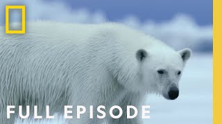 Polar Full Episode  Hostile Planet  National Geographic
