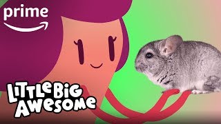Little Big Awesome  Clip Giant Smooshy  Prime Video Kids