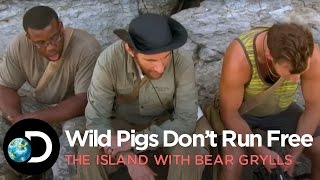 Wild Pigs Dont Run Free  The Island with Bear Grylls S1E4
