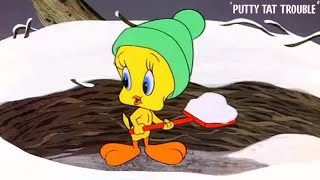 Putty Tat Trouble 1951 Looney Tunes Sylvester and Tweety Cartoon Short Film