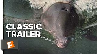 Flipper 1963 Official Trailer  Chuck Connors Luke Halpin Movie HD