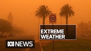 Victorias code red bushfire day sees emergency warnings issued as dust sweeps state  ABC News