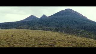 The Hunter 2011  Official Trailer HD